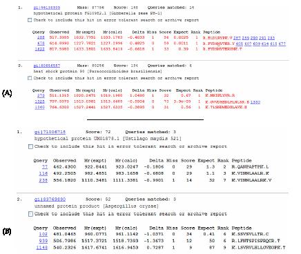 LC-MS, (A) UP data (B) DOWN data.