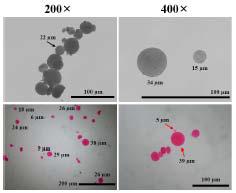 Emulsion-droplet coalescence 방법으로 제조된 키토산 나노입자의 현미경 사진.