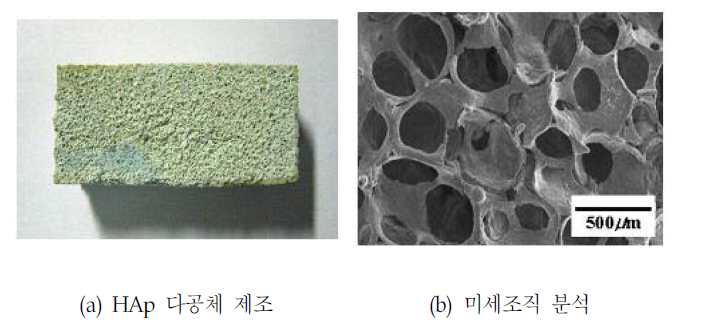 HAp 다공체 제조 및 미세조직 분석