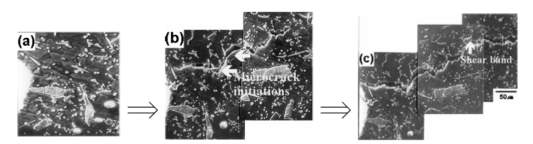 SEM in-situ microfracture micrographs near notch tips of hybrid MMC