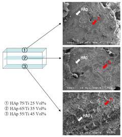 HAp/Ti 금속복합재료 미세조직 사진