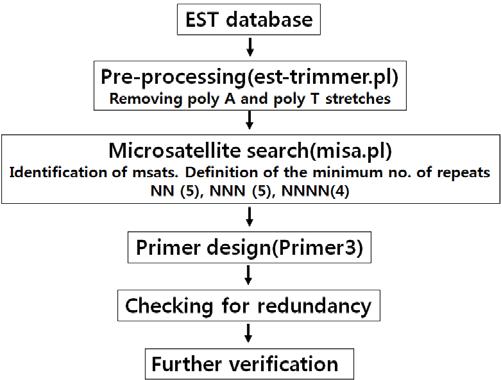 EST database로부터 microsatellite marker를 개발하는 과정