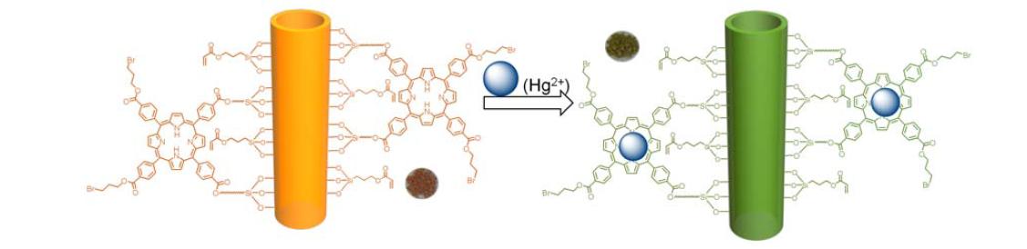 하이브리드 나노튜브 I-4에 수은 이온의 결합 구조 및 색깔 변화 사진