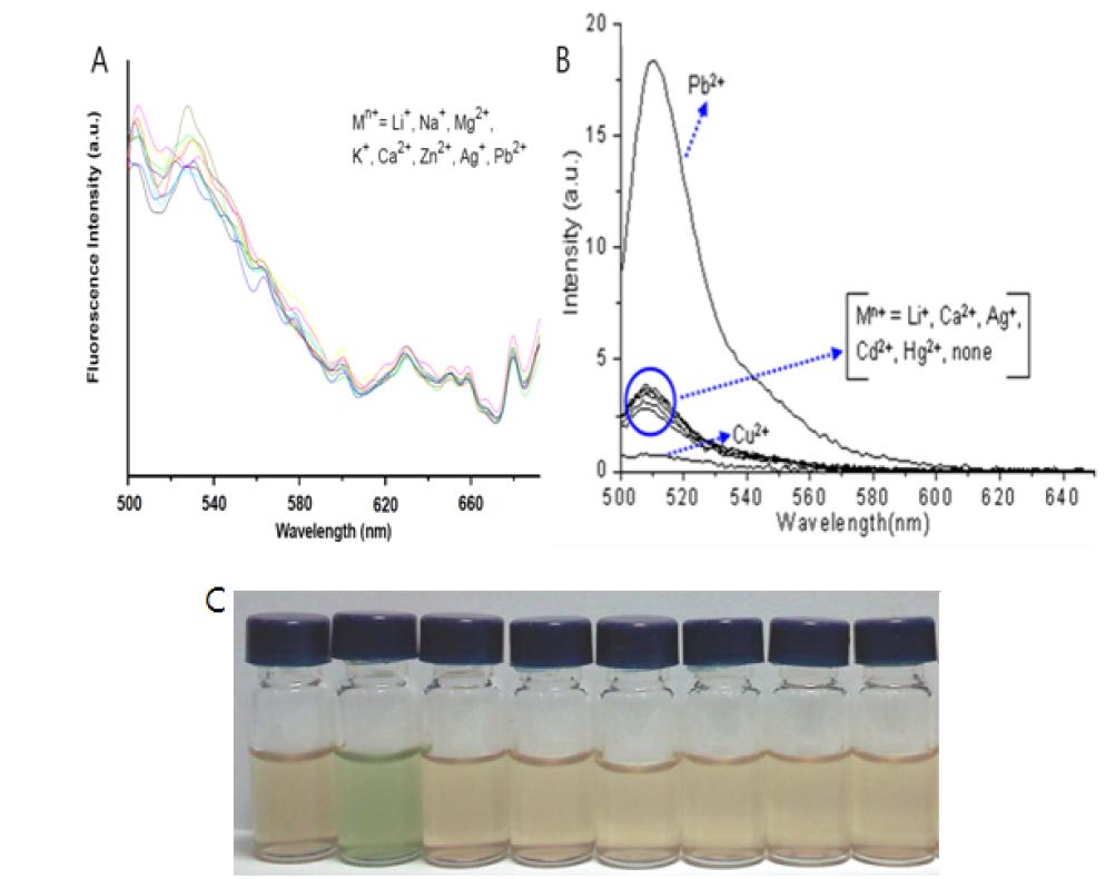 A) 실리카 나노튜브와 B) 하이브리드 나노튜브 I-6를 perchlorate 염을 가지는 금속이온을 첨가하였을 때의 형광 스펙트럼과 C) 하이브리드 나노튜브 I-6의 선택적인 색변화