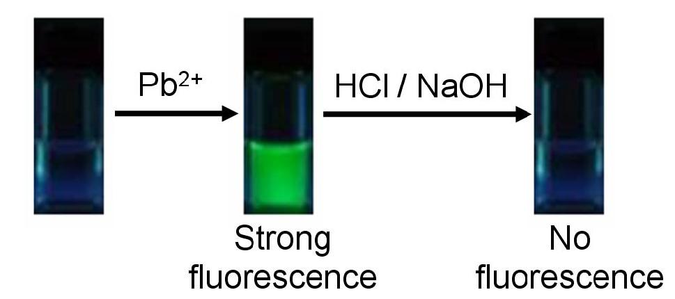하이브리드 나노튜브 I-6 현탁액에 납 이온을 가하고 다시 염산과 수산화나트륨을 처리하는 과정의 형광의 변화