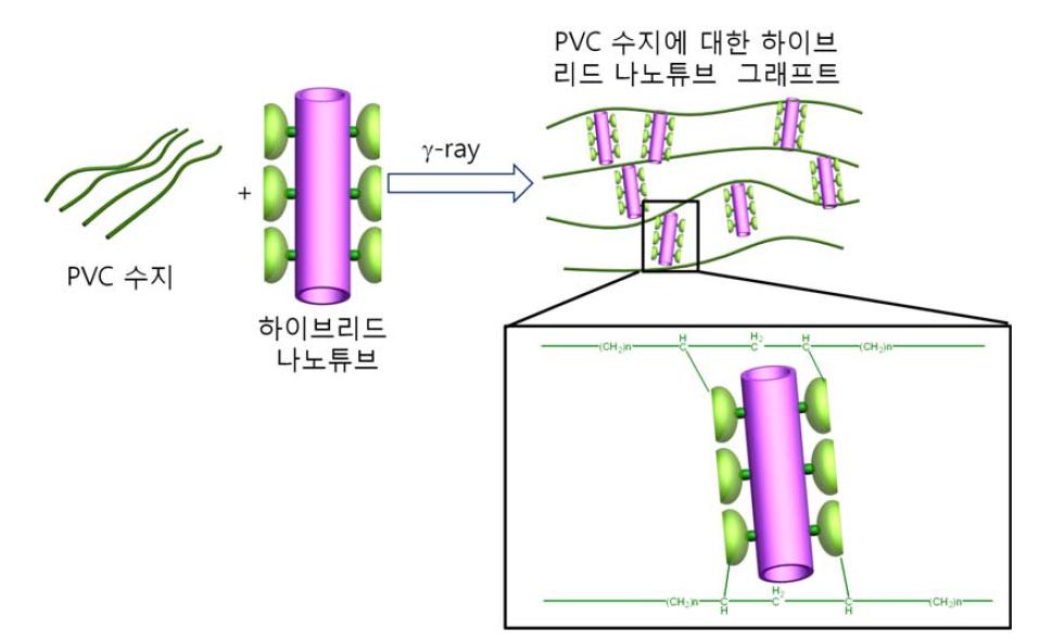 감마선 조사에 의한 하이브리드 나노튜브와 PVC 수지를 이용한 나노복합체의 구조.