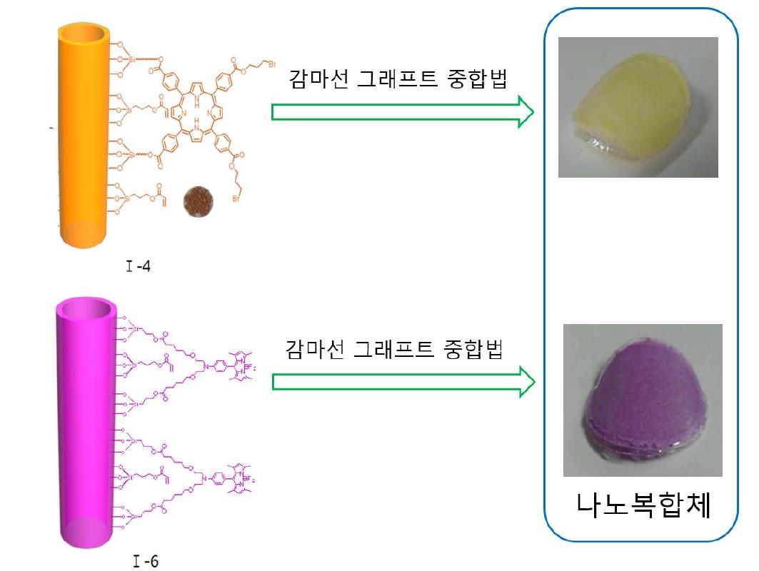 감마선 그래프트 중합법에 의하여 제조된 나노복합체