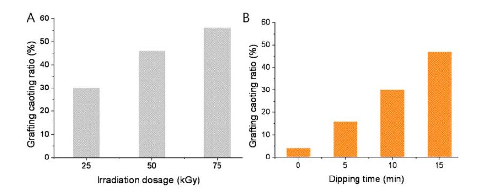 A) 감마선 조사 세기와 B) 시편을 오일 속에 담가 둔 시간에 따른 PVC 수지와 하이브리드 나노튜브를 이용하여 만든 나노복합체의 그래프팅 코팅 비율 비교 그래프.