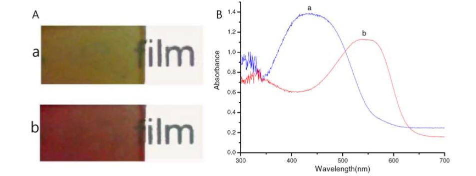 A) PVC 수지와 하이브리드 나노튜브 II-5를 사용하여 만든 나노복합체에 수은이온을 첨가하기 (a)전과 (b)후의 색깔 변화 사진. B) PVC 수지와 하이브