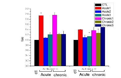 VPA를 100mg/kg으로 7일간 복강 주사한 Mouse(C57/BL,10 weeks old) brain의 hippocampus 영역에서의 chromatin immunoprecipitation.