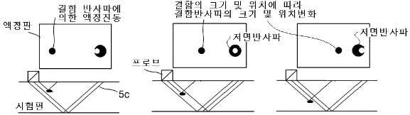 음장 가시화에 의한 실시간 손상계측