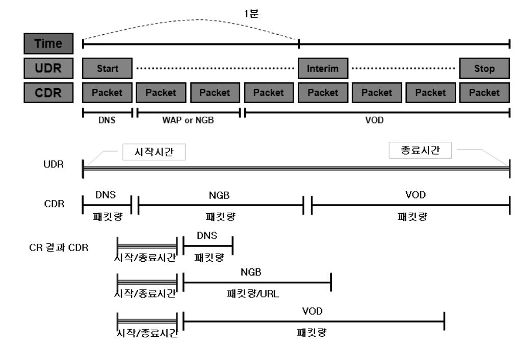 UDR 및 CDR 개념 및 과금 부여 데이터의 생성