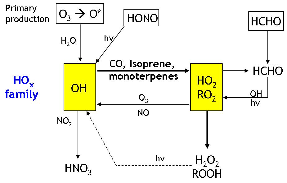 HOx-NOx-biogenic VOCs 광화학 반응도
