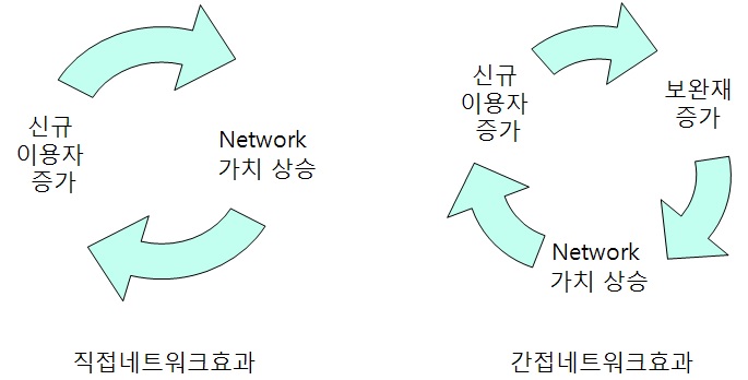 직접 및 간접 네트워크 효과