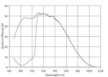 MT9V024 RCCC Quantum Efficiency