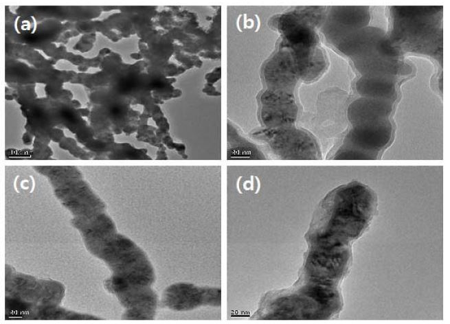 그림 99. 여러 가지 합성 나노 영가철의 TEM 분석