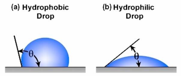 Demonstrate a difference in wettability;(a) Water droplet on a hydrophobic surface, (b) Water droplet on a hydrophilic surface.