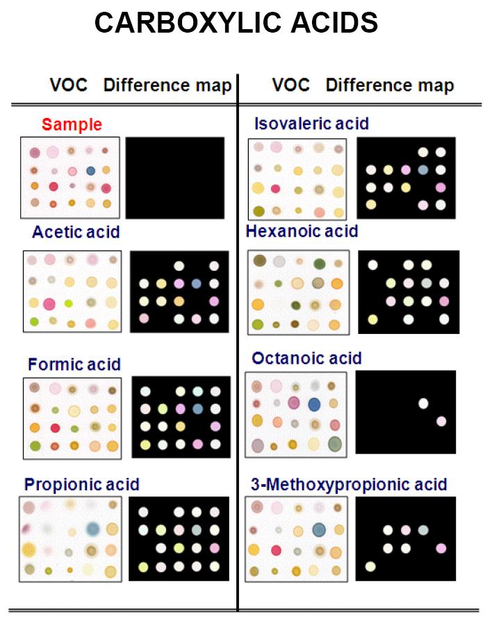 Color difference maps for a family of carboxylic at 1500ppm at 30℃; acetic acid, formic acid, isovaleric acid, hexanoic acid, octanoic acid, propionic acid, 3-methylpropionic acid.