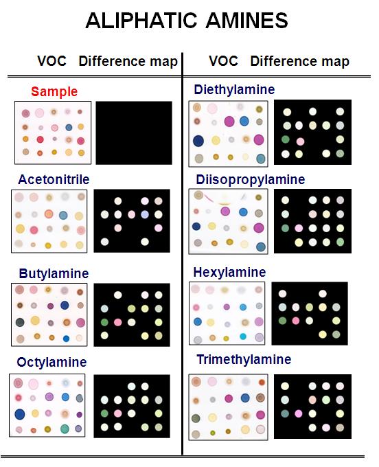 Color difference maps for a family of aliphatic amine at 1500ppm at 30℃; acetonitrile, butylamine, octylamine, diethylamine, diisopropylamine, hexylamine, trimethylamine.