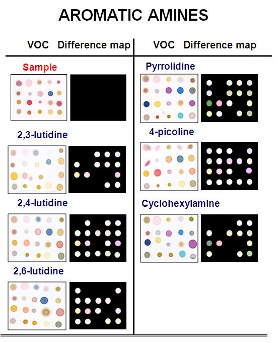 Color difference maps for a family of aromatic amine at 1500ppm at 30℃; 2.3-lutidine, 2.4-lutidine, 2.6-lutidine, pyrrolidine, 4-picoline, cyclohexylamine.