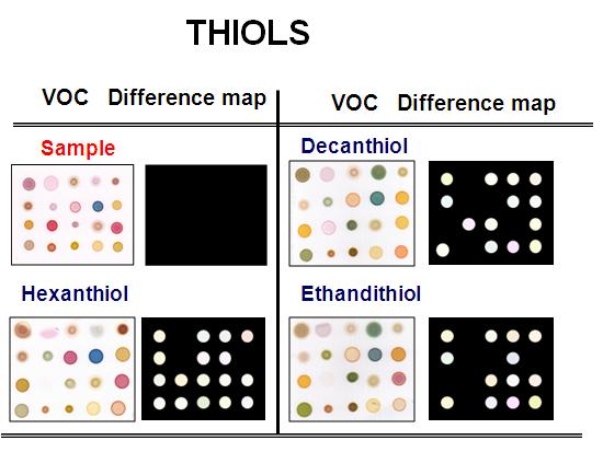 Color difference maps for a family of thiol at 1500ppm at 30℃; decanthiol, hexanthiol, ethandithiol.