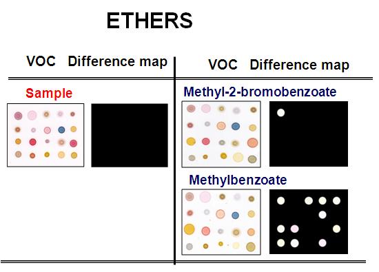 Color difference maps for a family of ether at 1500ppm at 30℃; methyl-2-bromobenzoate, methylbenzoate.