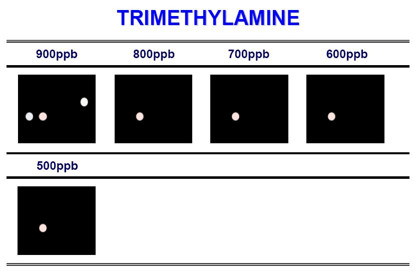 Color difference maps for hexylamine from 150ppm to 500ppb at 30℃.