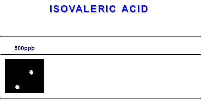 Color difference maps for isovaleric acid from 50ppm to 500ppb at 30℃.