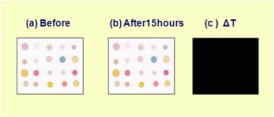 Colorimetric sensor array의 수분 효과; (A) 증류수에 담그기 전의 Colorimetric sensor array, (B) 증류수에 15시간 담근 후의 Colorimetric sensor array