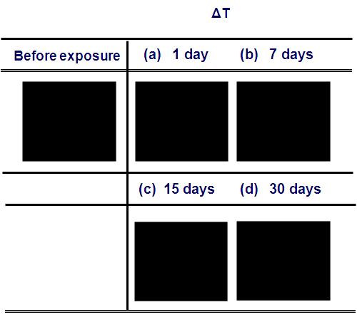 시간에 따른 Colorimetric sensor array의 공기 중의 수분 효과; (A) 1일 동안 공기중에 노출한 Colorimetric sensor array, (B) 7일 동안 공기중에 노출한 Colorimetric sensor array, (C) 15일 동안 공기중에 노출한 Colorimetric sensor array, (D) 30일 동안 공기중에 노출한 Colorimetric sensor array.