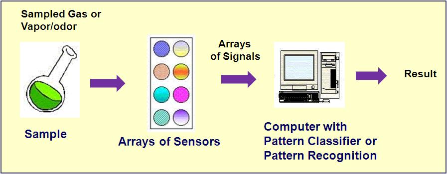 Electronic nose system process.