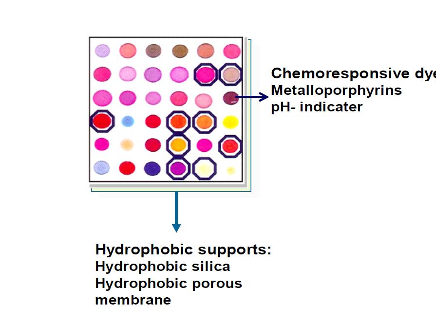 Colorimetric sensor array containing chemically responsive dyes on a hydrophobic membrane.