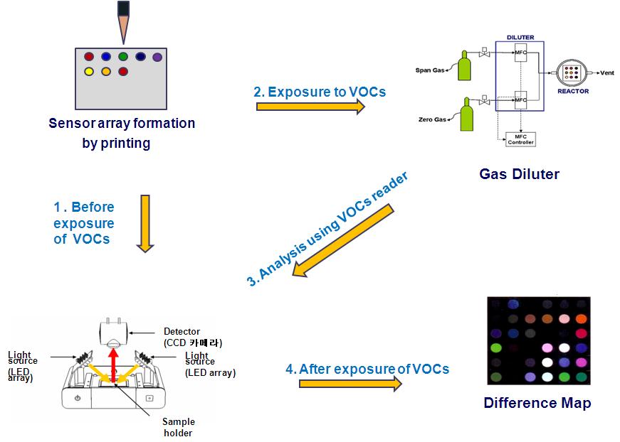 Schematic diagram of the preparation process of colorimetric sensor arrays.