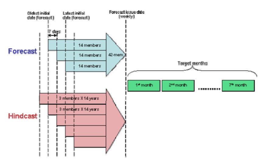 Fig. 5.2.1. Schematic representation of forecast and hindcast suites.