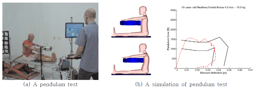 Examples of thorax calibration with pendulum test