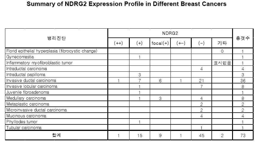 유방암 조직 (73 개체)의 병리진단에 따른 NDRG2 단백질 발현 분석 profile
