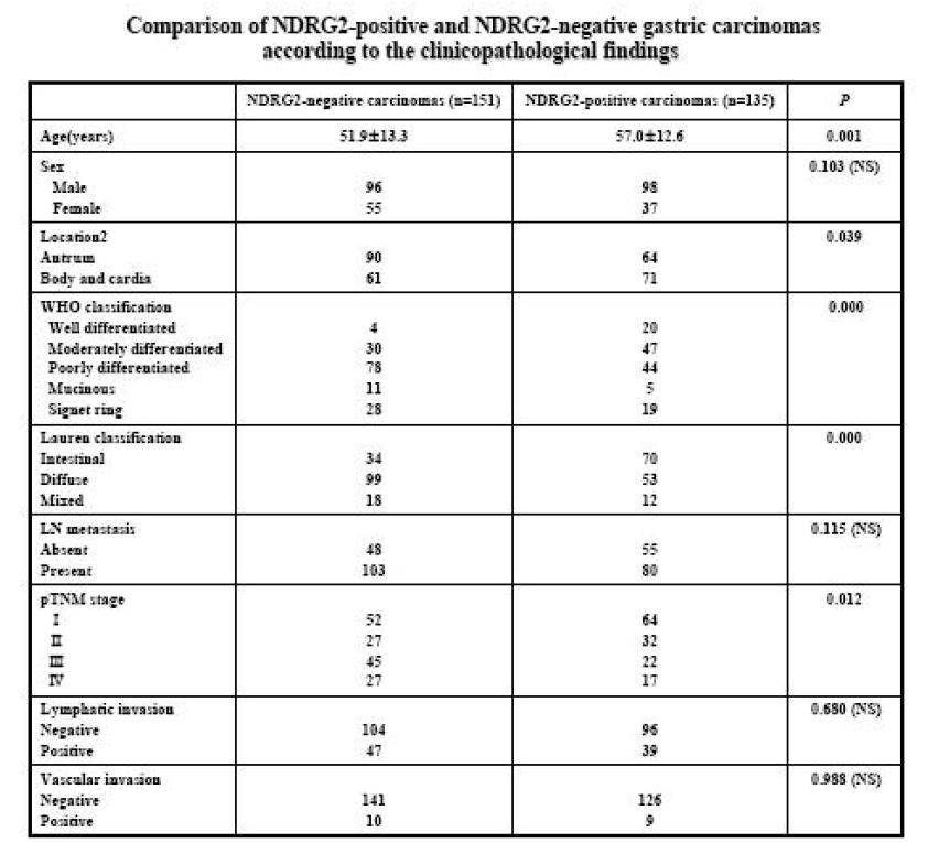 NDRG2 단백질 발현여부에 따른 각 위암 조직의 분류