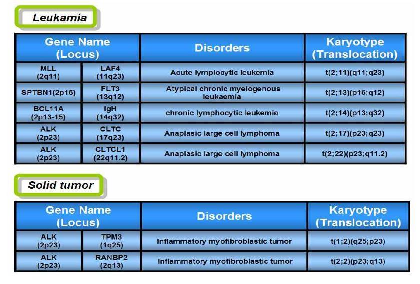 염색체 2번에 위치한 유전자들의 translocation에 의해 야기되는 질환