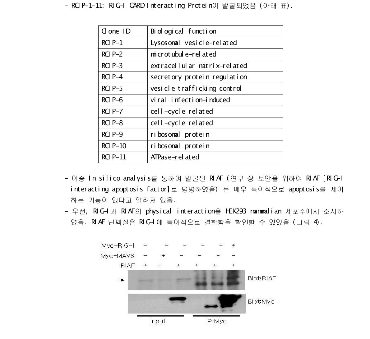 HEK293 세포주에서 Myc-RIG-I, Myc-MAVS, RIAF 의 physicalinteraction을 관찰하였음 (Hwang SY. Unpublished data).