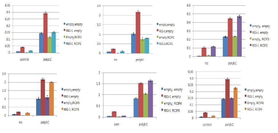 HepG2 세포주에서 RIG-I와 RCIP1, 2, 3, 5, 6, 9을 각각 과발현 시킨 상태에서 polyI:C에 의해 유도되는 PRDIII-I의 활성화를 측정.