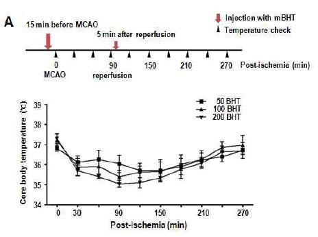 mBHT의 체온을 낮추는 효과 .