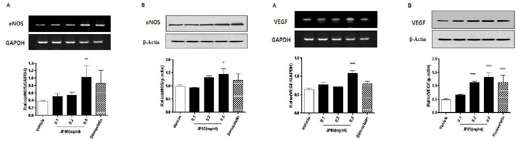 mBHT induced the expression of eNOS and VEGF in bEnd.3 cells.