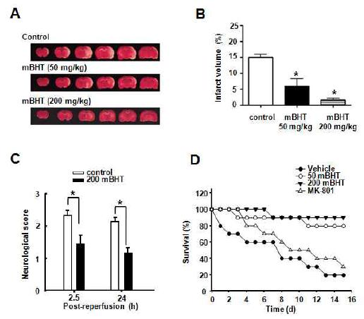 mBHT는 뇌경색 부피를 현저히 감소시키고, 신경학적 결손(neurological score)을 향상시킴.