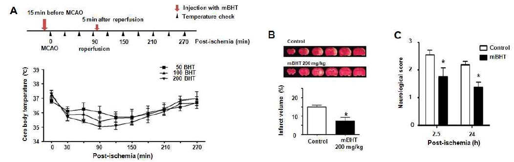 mBHT는 체온을 낮추는 효과