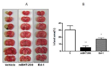 The effect of mBHT on brain infarction in rats administrated with mBHT or Edaravone after disease onset.