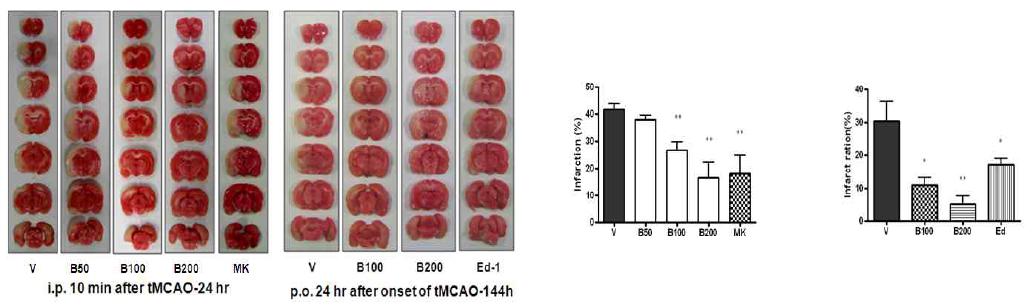 mBHT, MK801, Edaravone의 뇌경색 억제효과 비교