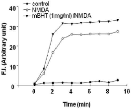 Effect of mBHT on NMDA-induced plasma membrane depolarization in neuronal cells