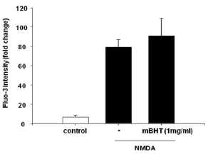 Effect of mBHT on NMDA-induced Ca2 + intake in neuronal cells