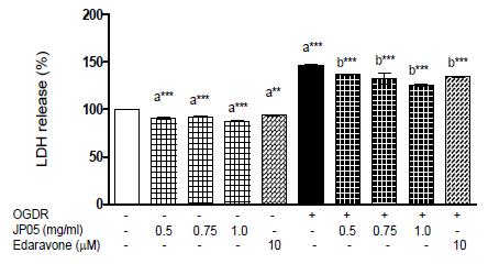 N2a cells were subjected to 6 h OGD by placing them into an airtight chamber with gas (95% N2/5% CO2).