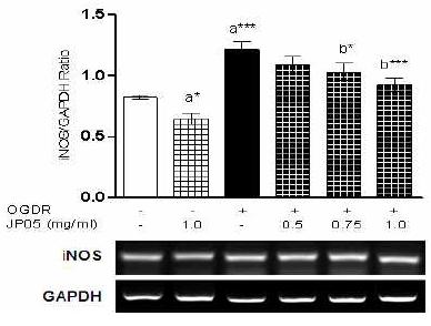 Effects of mBHT on OGDR-induced iNOS expression in N2a cells.